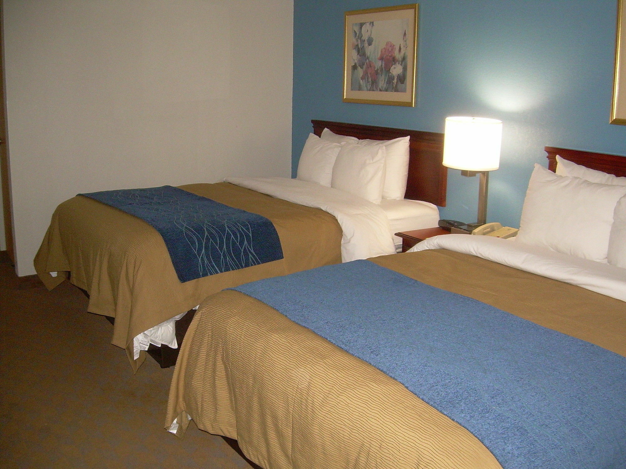 Comfort Inn & Suites Lees Summit - Kansas City Lee's Summit Exteriér fotografie